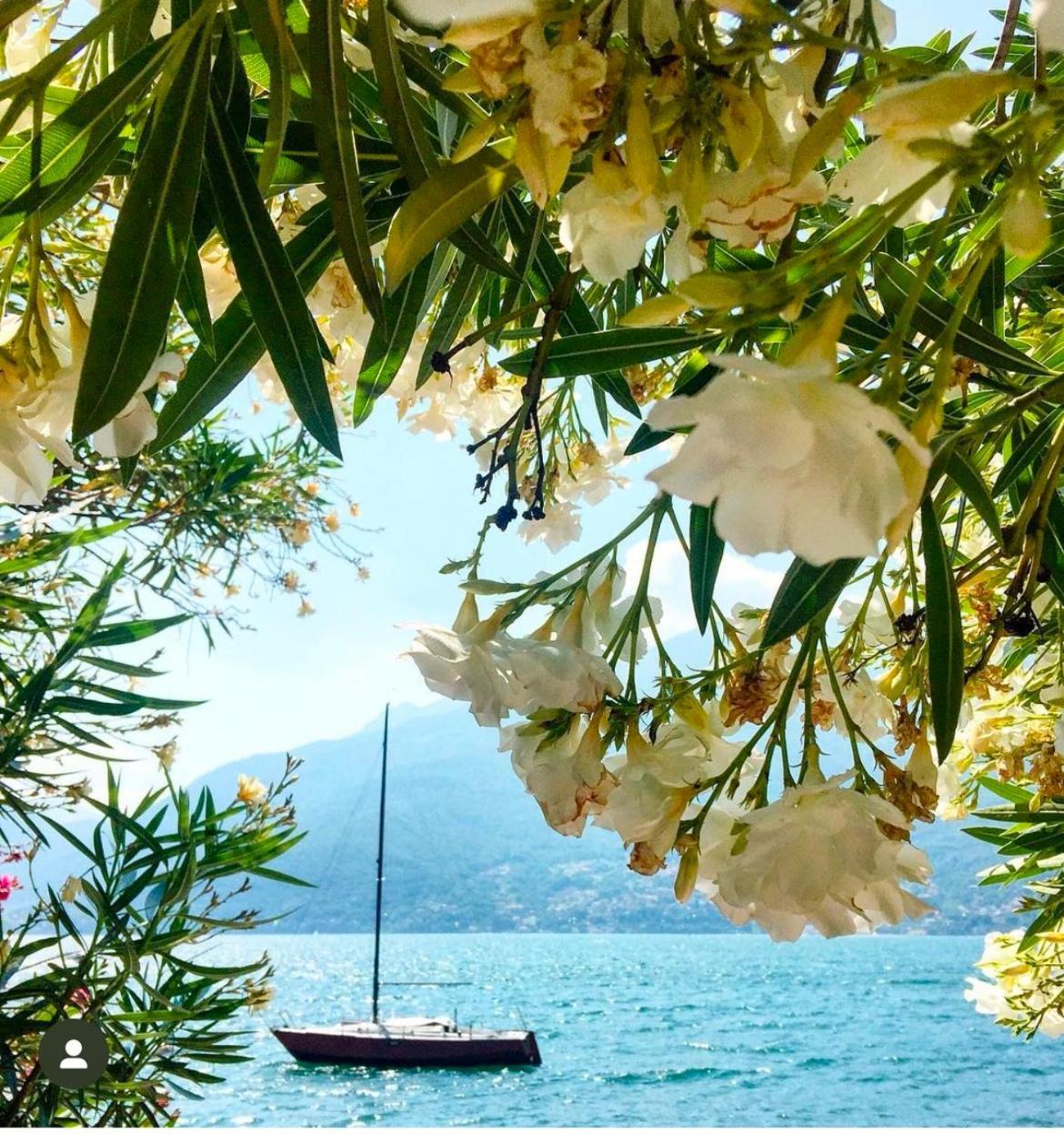 Casa Didi & Rosi - Lake Como Colico Extérieur photo